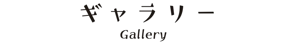 ギャラリー