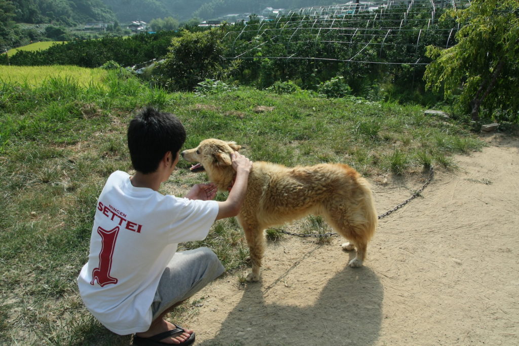 愛犬のマサムネと戯れる永井先生（普段全く世話をしないのでまるで懐いていない）