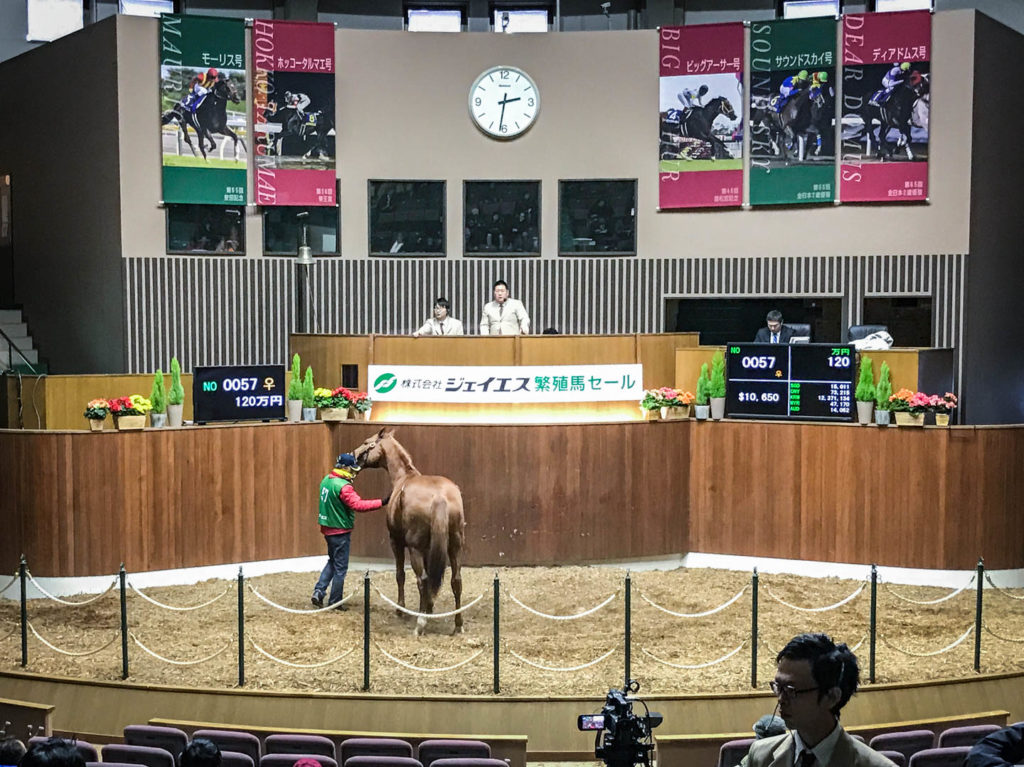 種付けからかよ!? おまえらが力を合わせ馬主で成功する『リアルダビスタ』遂に始動。繁殖牝馬のセリを現地北海道で密着レポート！_006