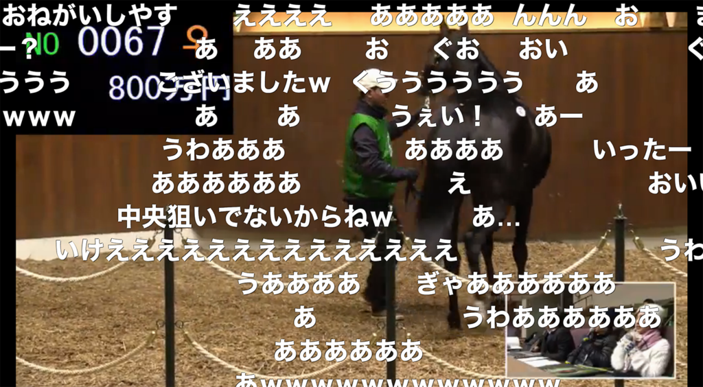 種付けからかよ!? おまえらが力を合わせ馬主で成功する『リアルダビスタ』遂に始動。繁殖牝馬のセリを現地北海道で密着レポート！_013