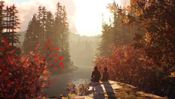 『Life is Strange 2』の主役はふたりの兄弟。アメリカを縦断する1500キロにも及ぶ壮大な旅を通じて兄弟の絆と成長を描く_002