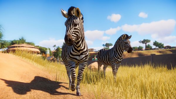 動物園経営シミュレーション『Planet Zoo』正式発表。『Planet Coaster』開発陣が送る『Zoo Tycoon』の精神的後継作、日本語にも対応_006