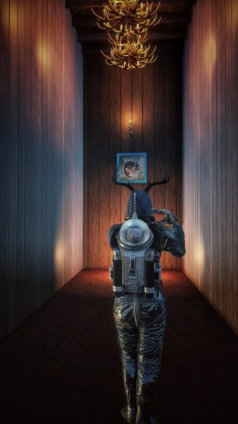 『Fallout 4』や『Fallout 76』の絵画に描かれた子猫のモデルが死去。心臓病で余命わずか半年と宣告されたが、その後5年間生きて幸せを振りまく_001
