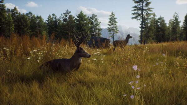 オープンワールド・ハンティングシミュレーションゲーム『Way of the Hunter』発表_003