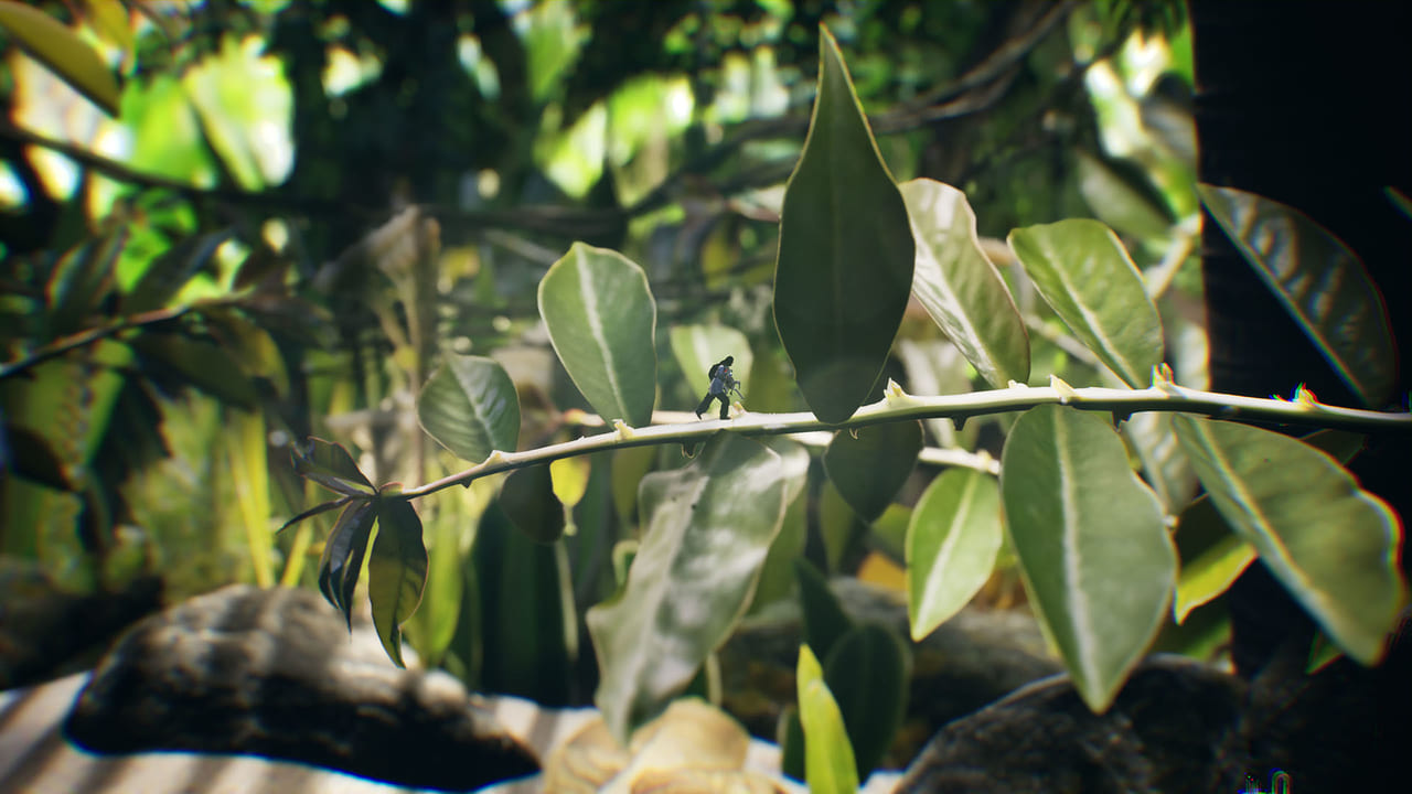 植物や昆虫など「1万5000枚の写真」を使用したアクション『Big Earth』が発売開始_004