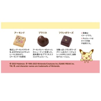 ピカチュウのぬいぐるみもついてくる「ポケモン アソートチョコ」がポケモンセンターオンラインで取り扱い開始_002