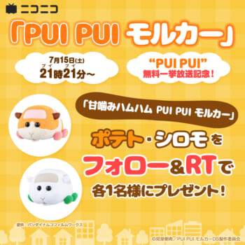 『PUI PUI モルカー』の一挙放送が7月15日（土）21時21分（ぷいぷい）から開催決定_002