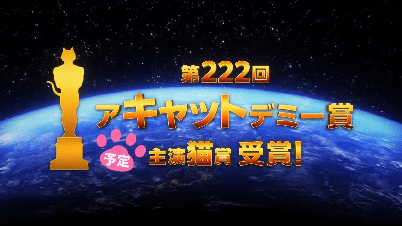 『ニャイト・オブ・ザ・リビングキャット』のアニメ化が決定_002