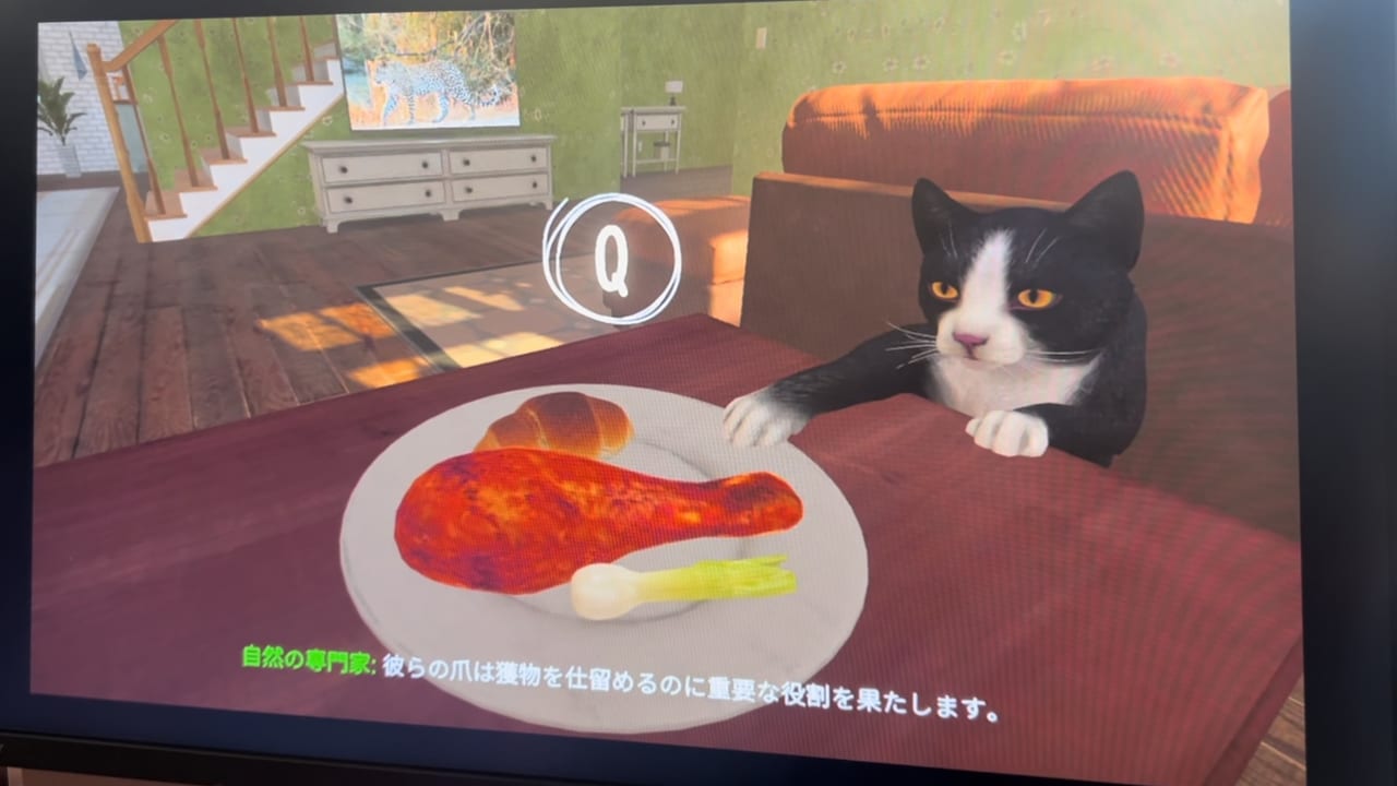 『COPYCAT』プレイレポート。老人の孤独と保護猫の拒絶をテーマにした濃密な一作_003