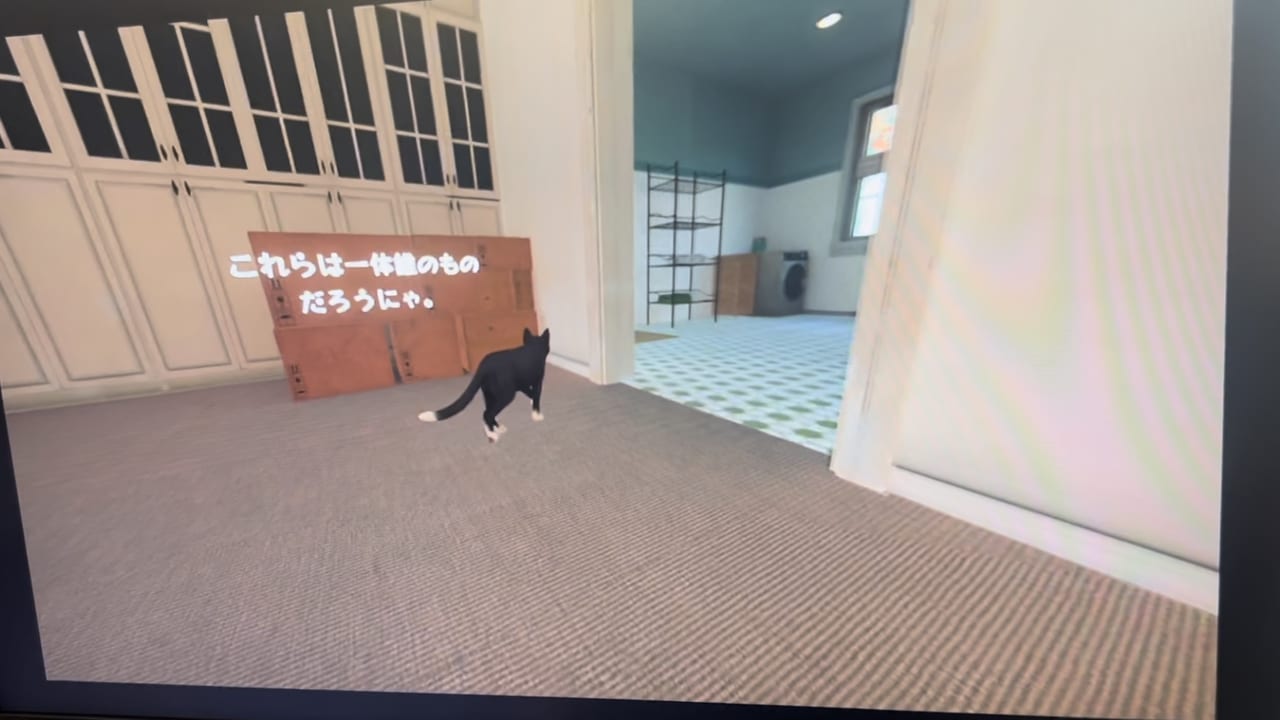 『COPYCAT』プレイレポート。老人の孤独と保護猫の拒絶をテーマにした濃密な一作_010