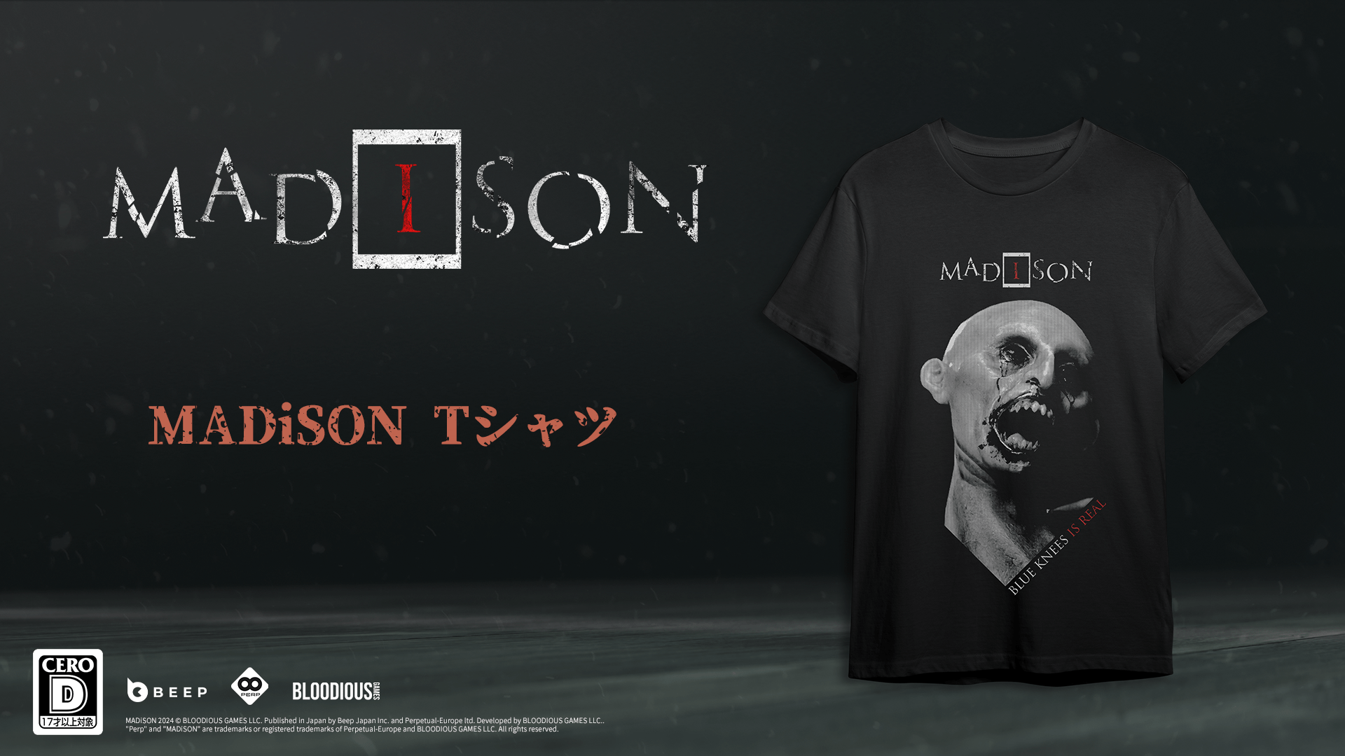 『MADiSON』日本語に対応したNintendo Switch版、PS4／PS5版が発売決定_012