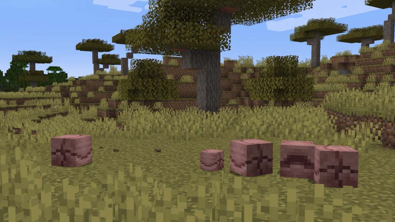 マインクラフト』アルマジロが登場するアップデートが配信_002