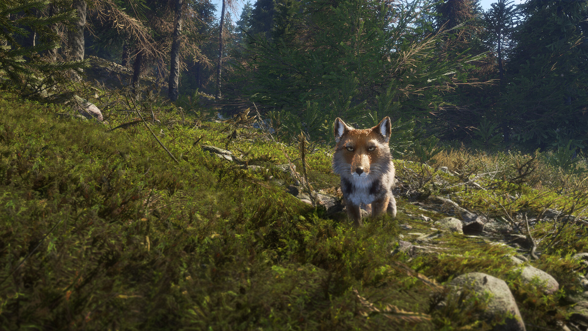 狩猟シミュレーションゲーム『theHunter: Call of the Wild』が86%オフで287円のセール中_008