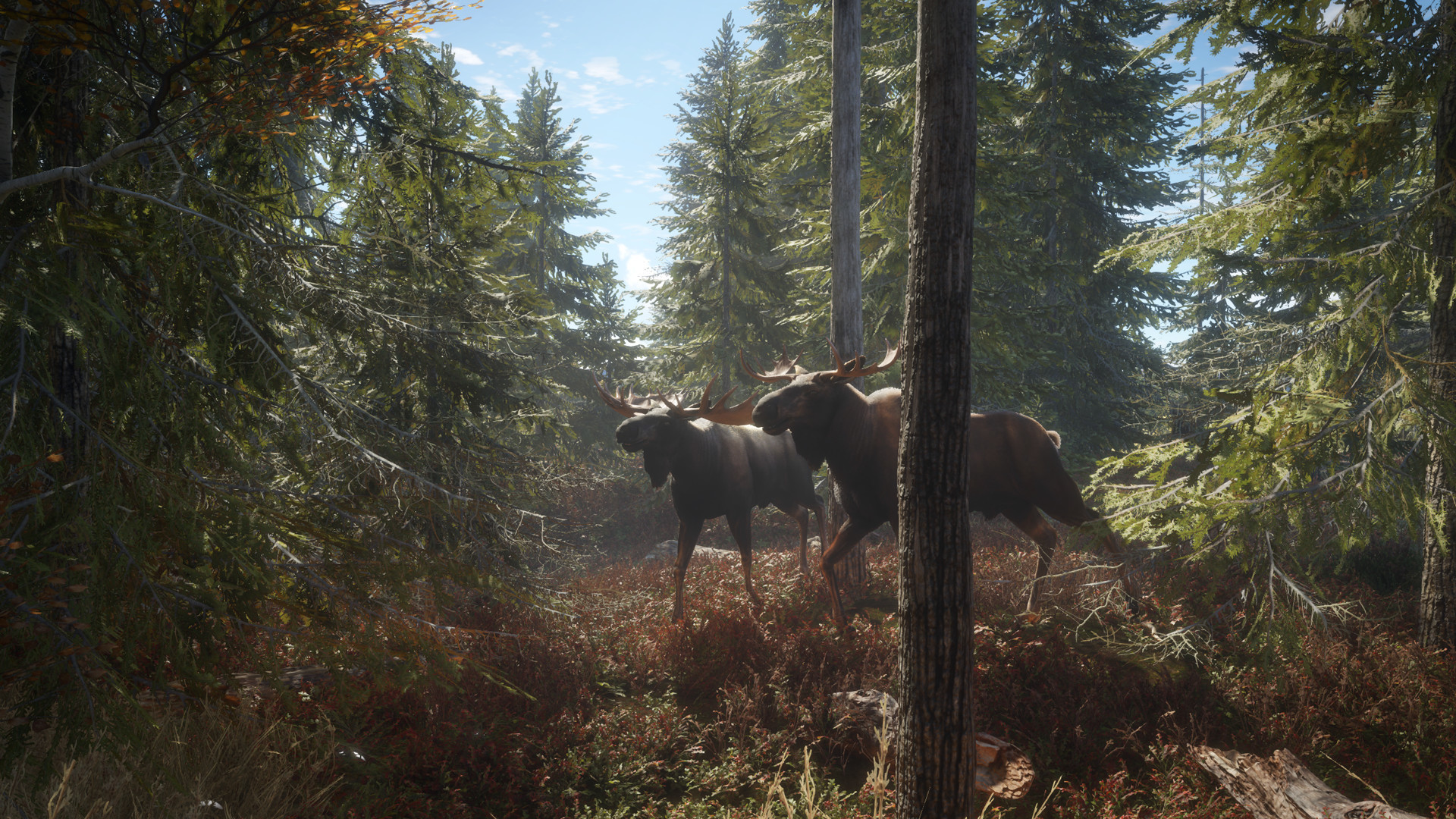 狩猟シミュレーションゲーム『theHunter: Call of the Wild』が86%オフで287円のセール中_002