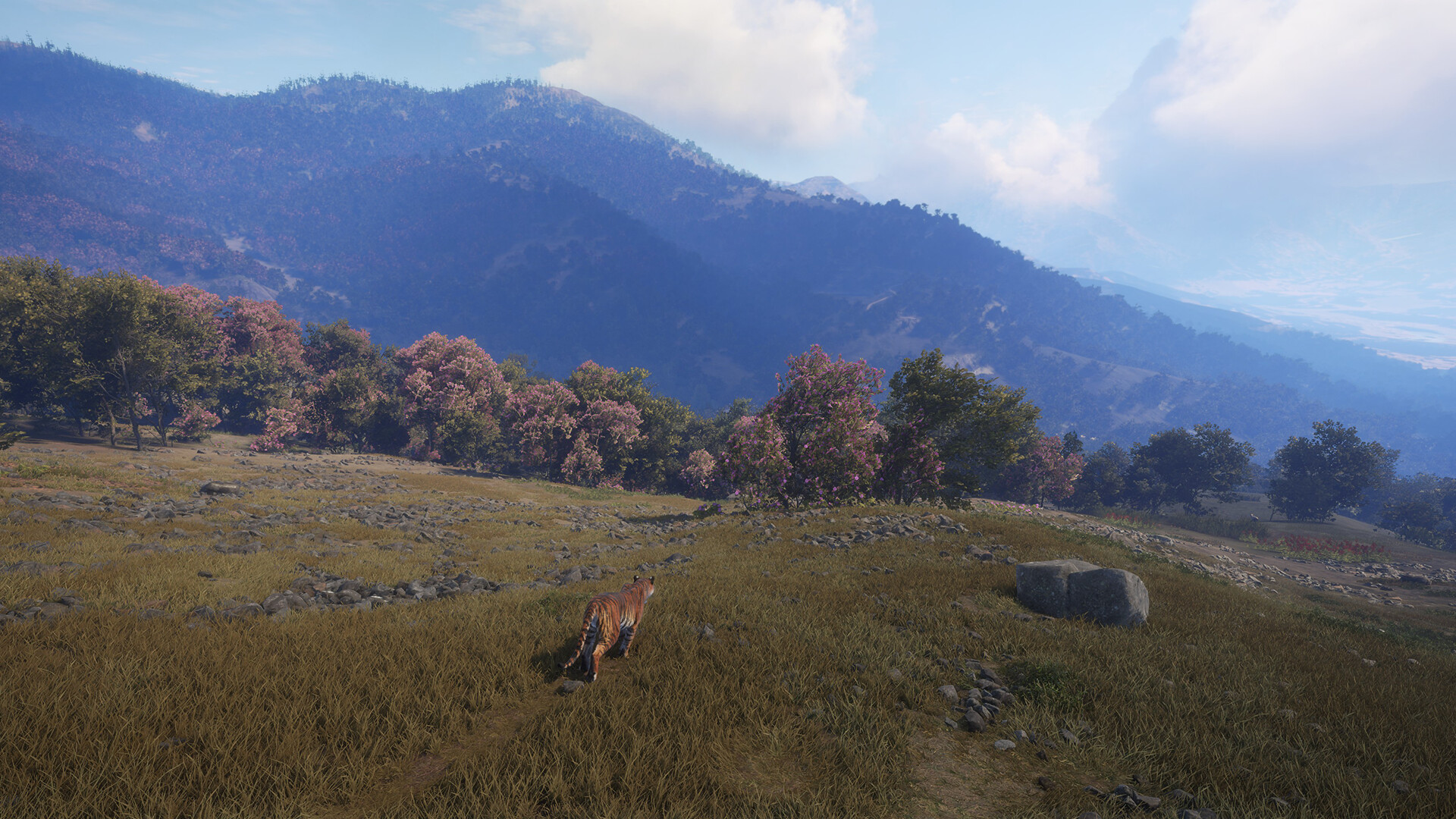 狩猟シミュレーションゲーム『theHunter: Call of the Wild』が86%オフで287円のセール中_007