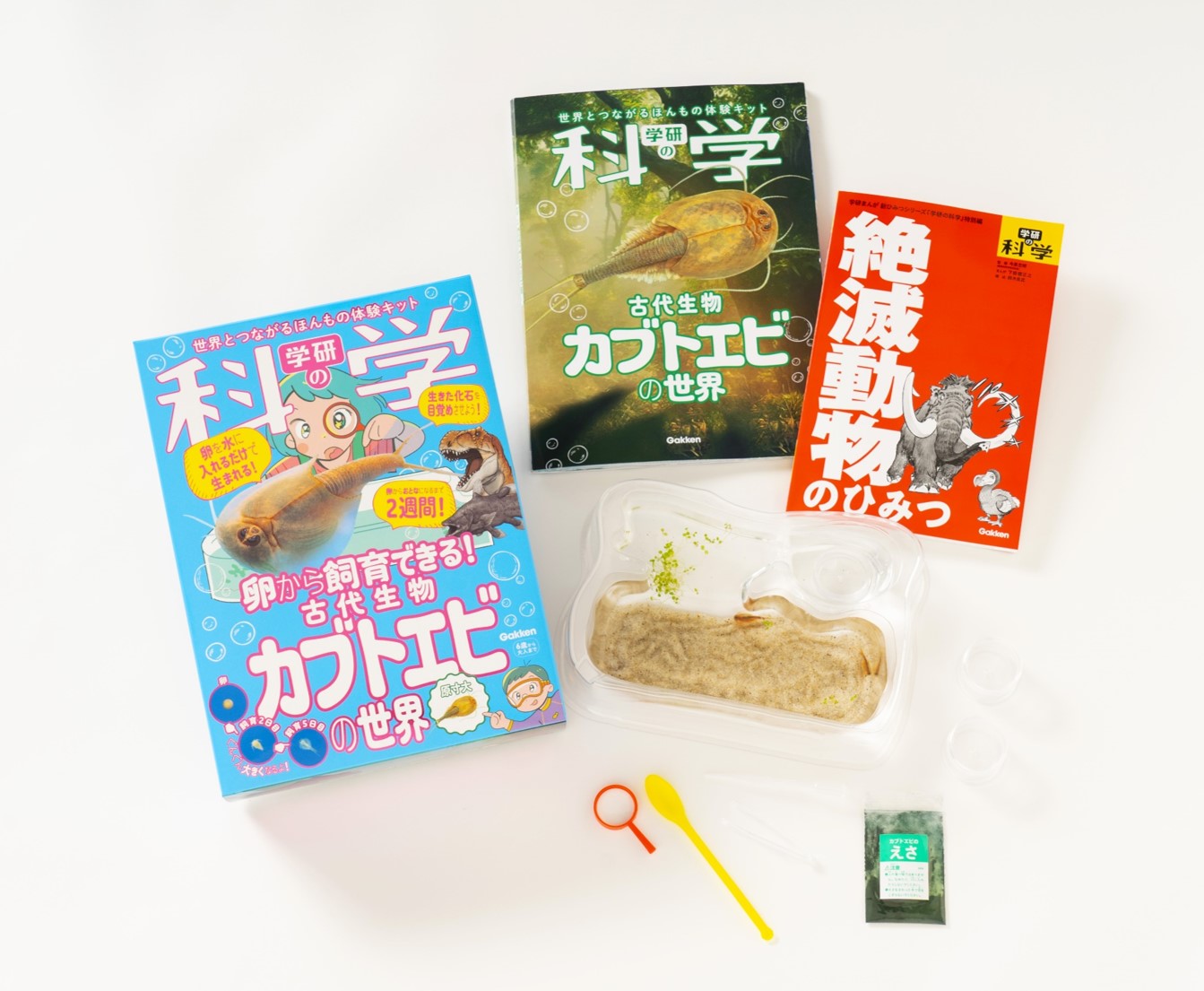 「本物のカブトエビ」をふ化させることができる学研のキットが発売。「古代生物」を自分の手で卵から目覚めさせよう_001