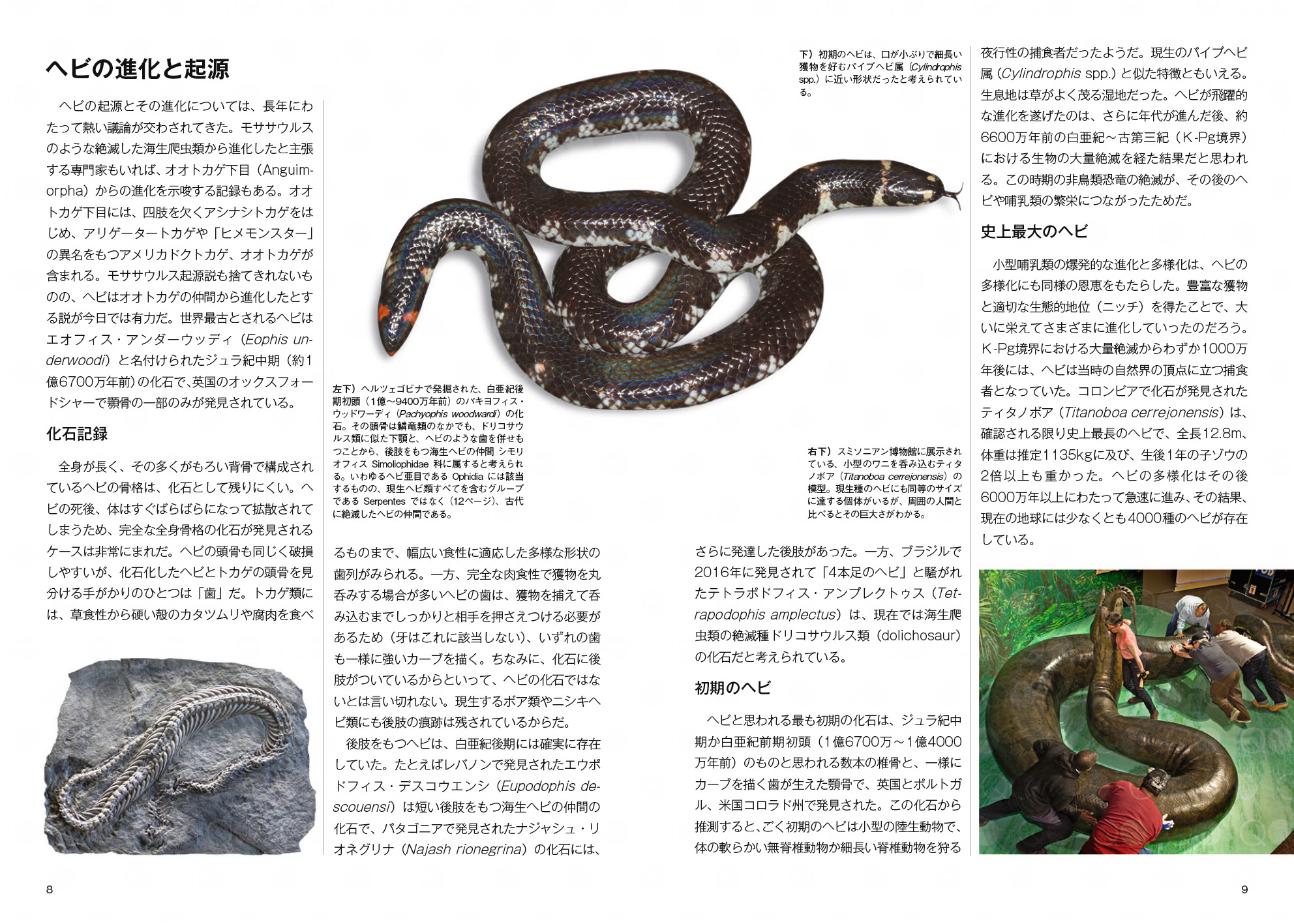 「ヘビ大全 SNAKES OF THE WORLD」が発売。世界に約4000種といわれるヘビを徹底解説した書籍_001