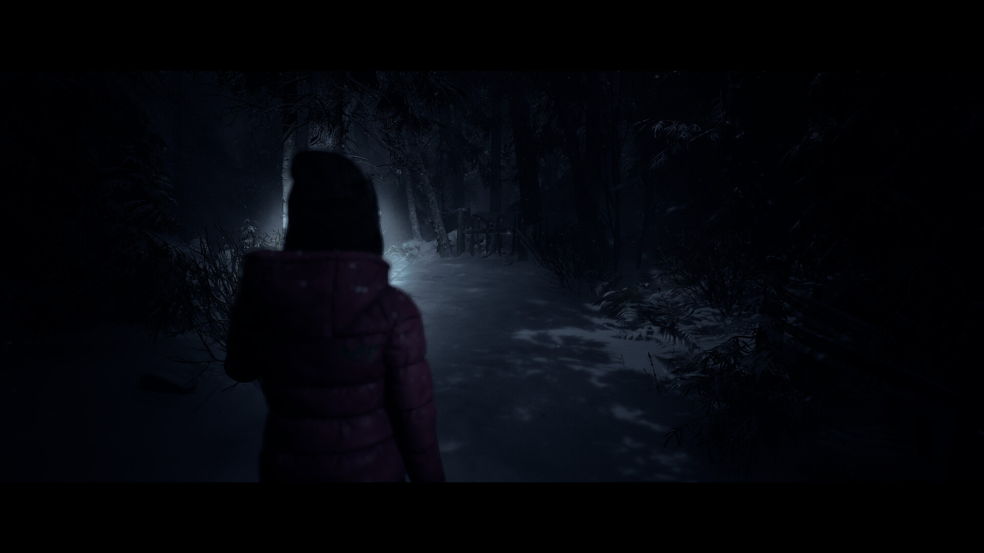 『Until Dawn -惨劇の山荘-』PS5・PC向けリメイク版のスペック情報が発表。暗転シーンを新規カメラワークで表現_003