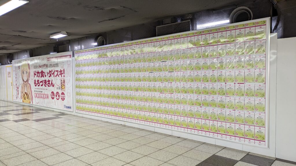 ドカ食いダイスキ！もちづきさん』360袋の実物大「千切りキャベツ」が