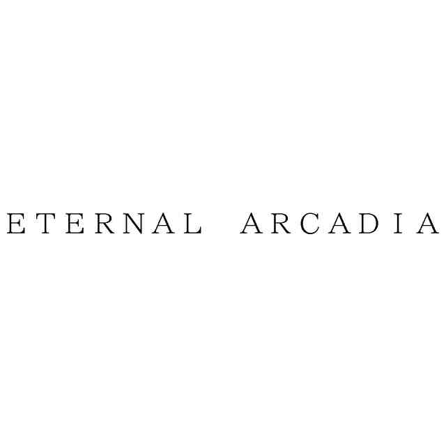 『エターナルアルカディア』に関連すると思われる「ETERNAL ARCADIA」という文字列をセガが商標出願_001