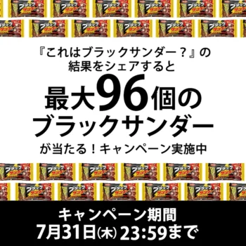 「ブラックサンダーかそうでないか」を見分ける奇妙なゲーム『これはブラックサンダー？』が公開_009