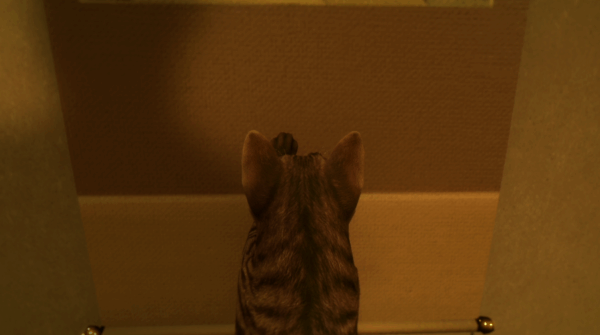 『まだ猫は逃げますか？』Steamストアページが公開。『近畿地方のある場所について』背筋氏がシナリオを手掛けるゲーム_002