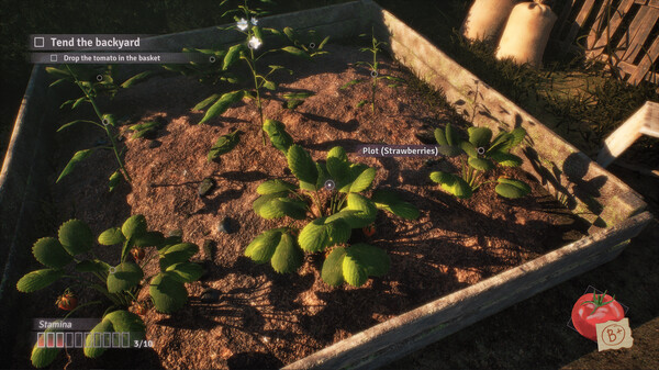 Steamで『Fractured Blooms』が発売決定_001
