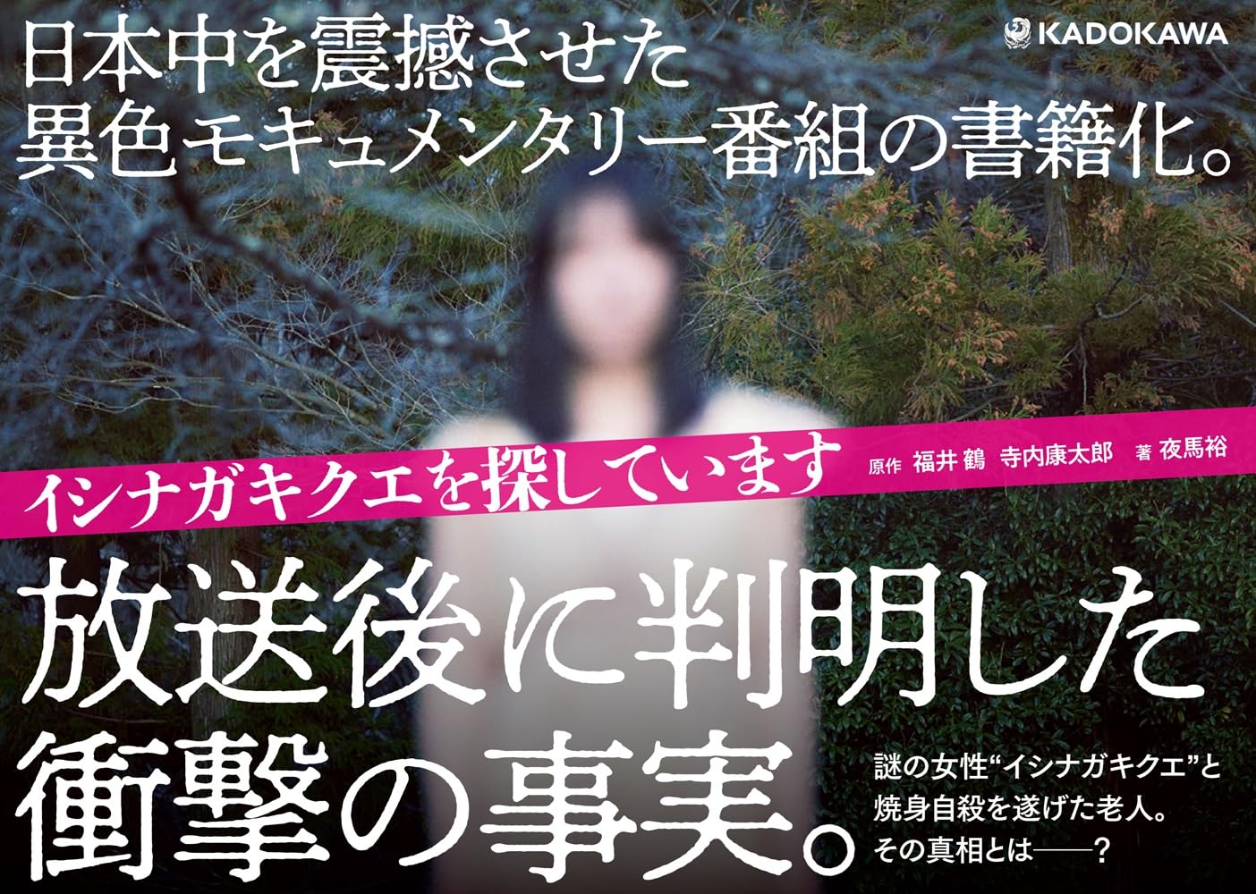 「イシナガキクエを探しています」の書籍版が販売開始_001