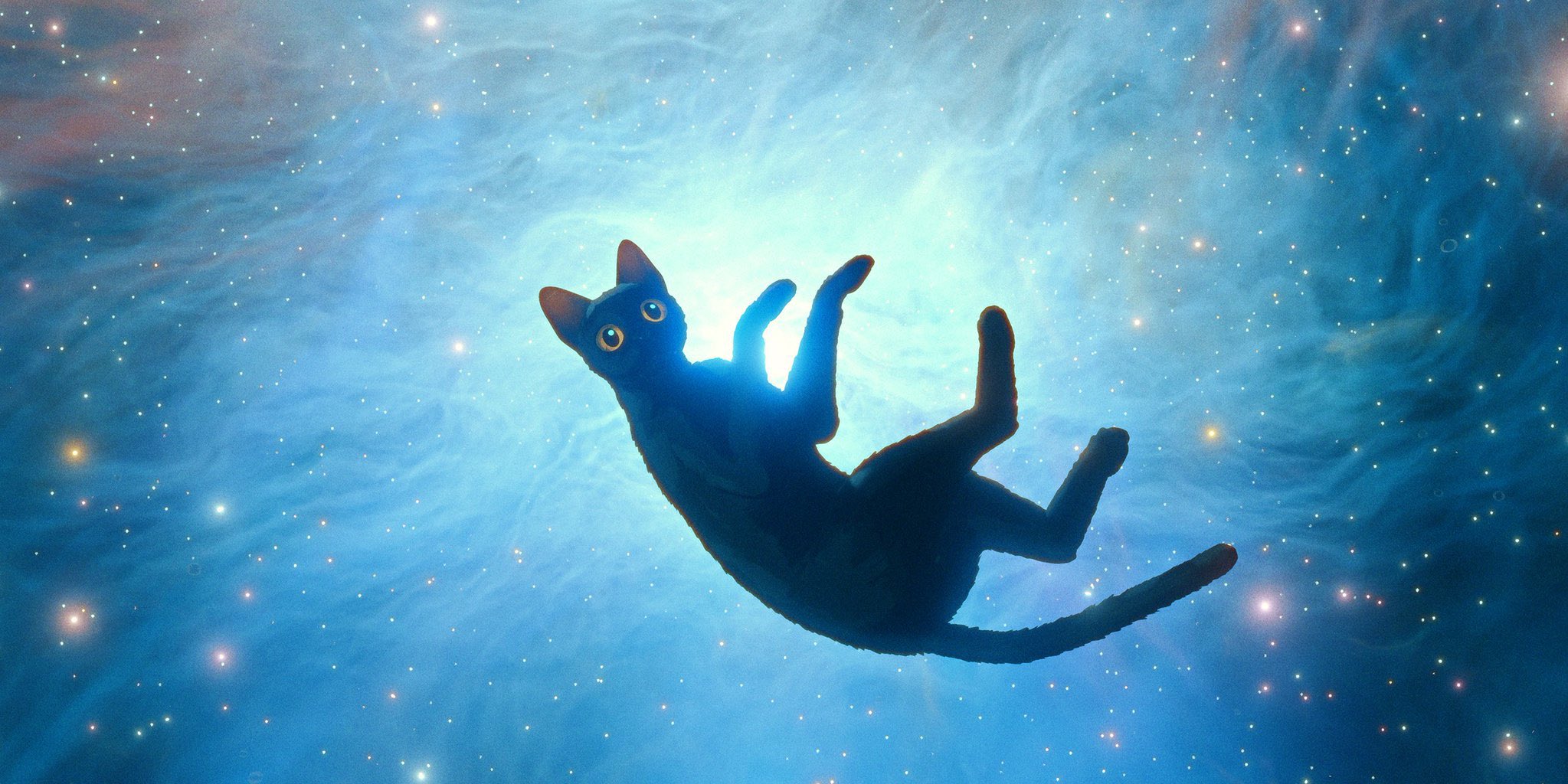 アニメ映画『Flow』がアマプラで独占配信開始。大洪水に見舞われた世界で猫が冒険する
_001