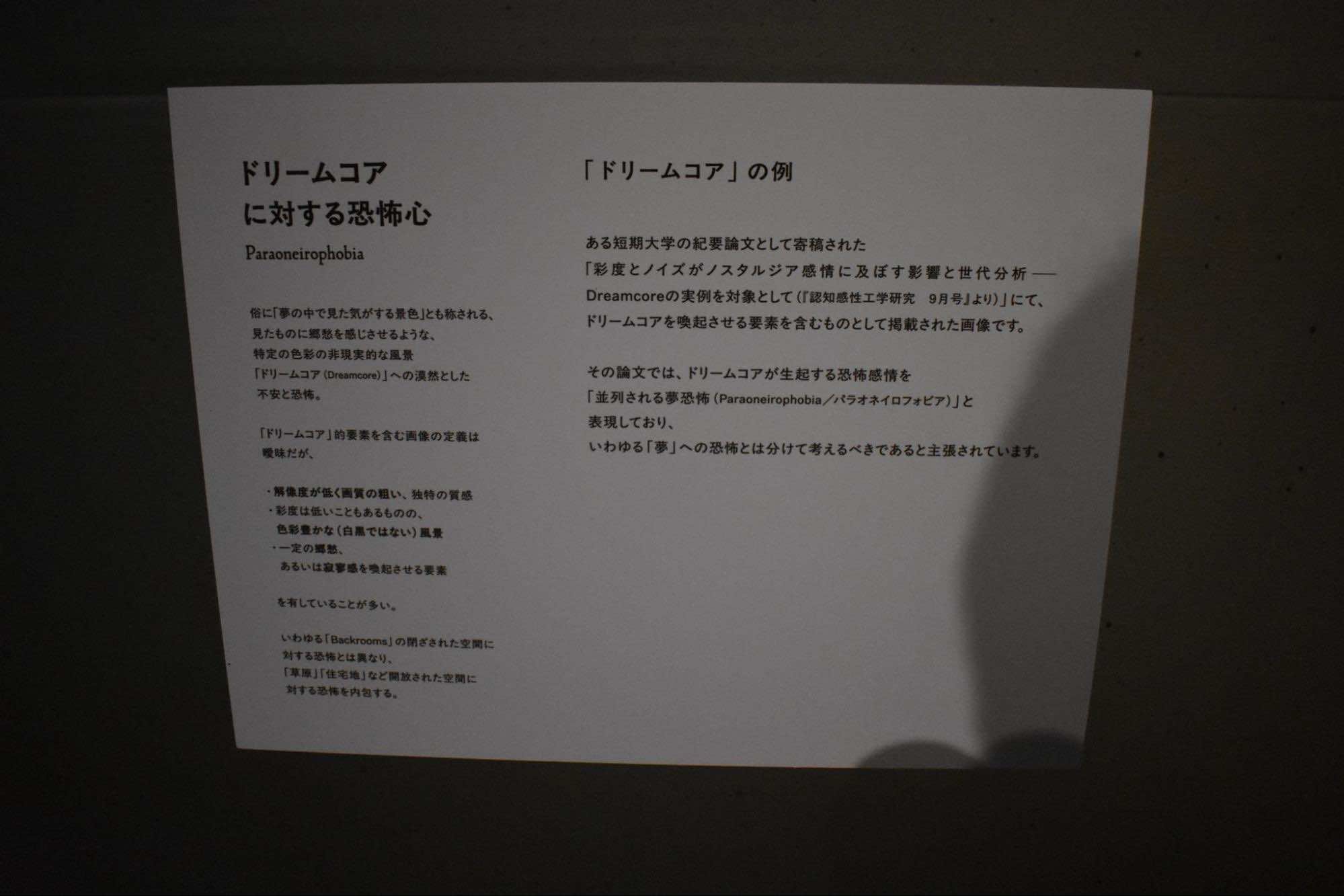 『恐怖心展』イベントレポート|お化け屋敷でもホラーでもないけど、帰ってから嫌な夢を見そうなじわ怖展示会_026