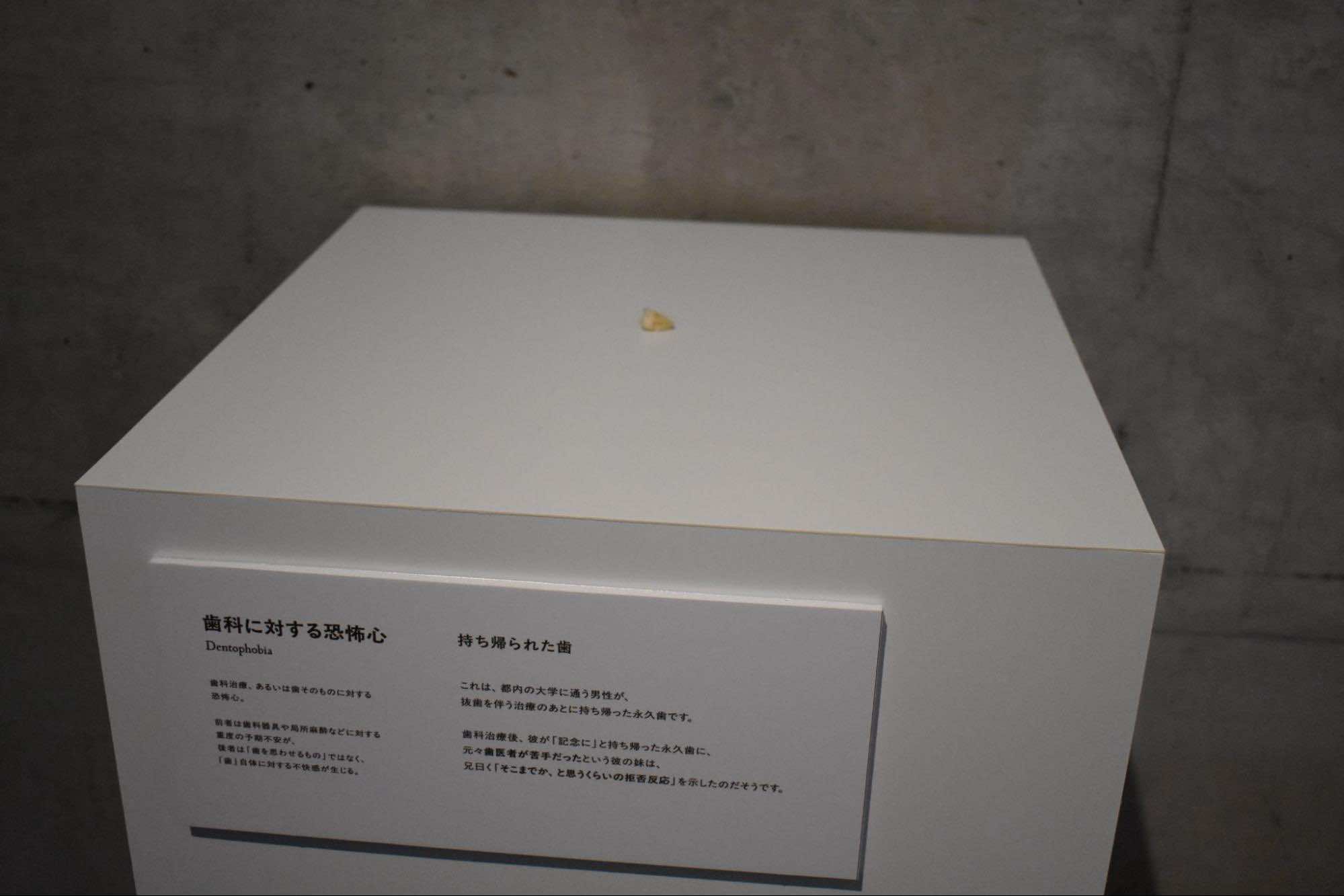 『恐怖心展』イベントレポート｜お化け屋敷でもホラーでもないけど、帰ってから嫌な夢を見そうなじわ怖展示会_010