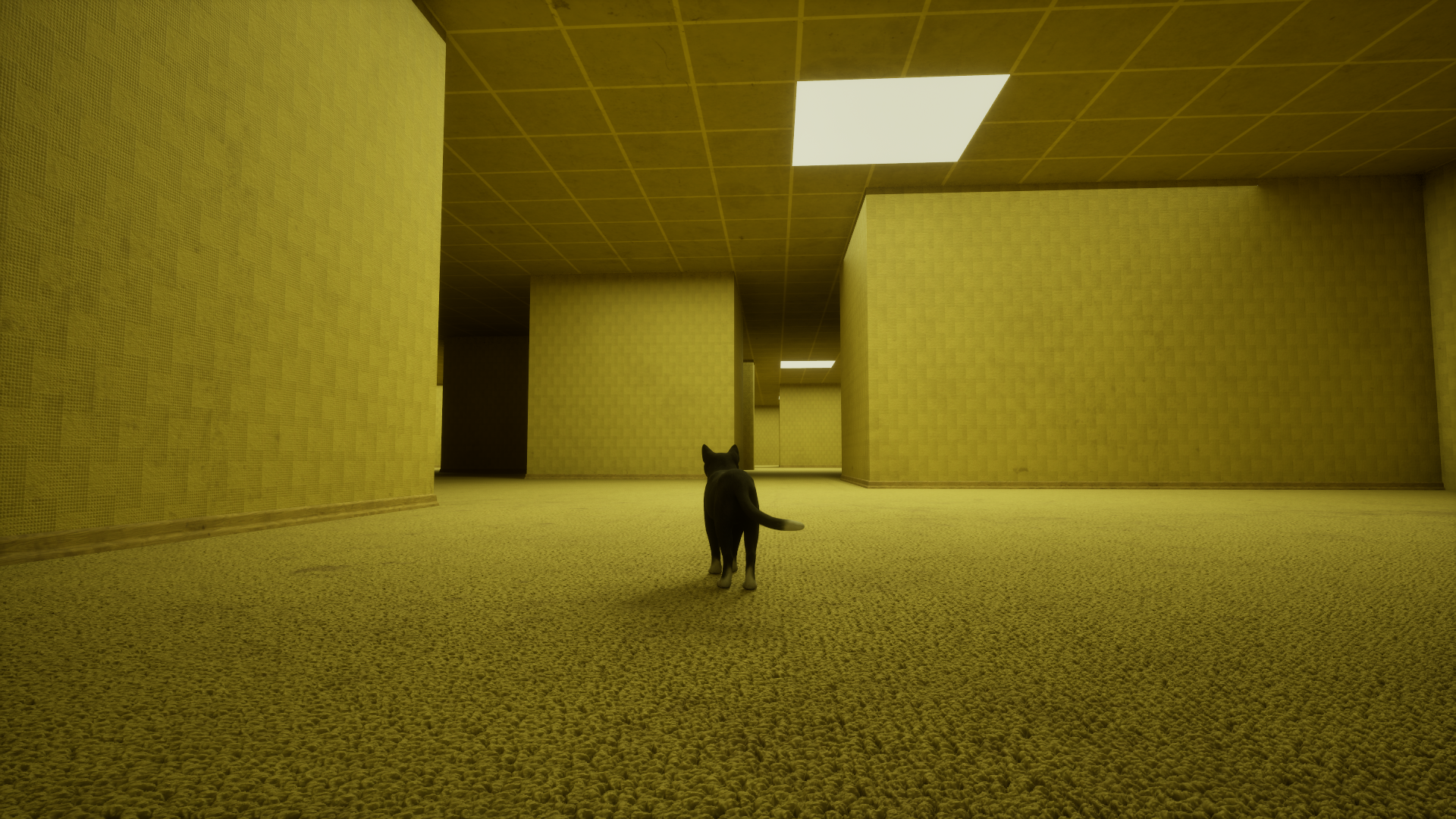 『LIMINAL CAT』のSteamストアページが公開。1匹の猫が「リミナルスペース」を探索するゲーム
_001