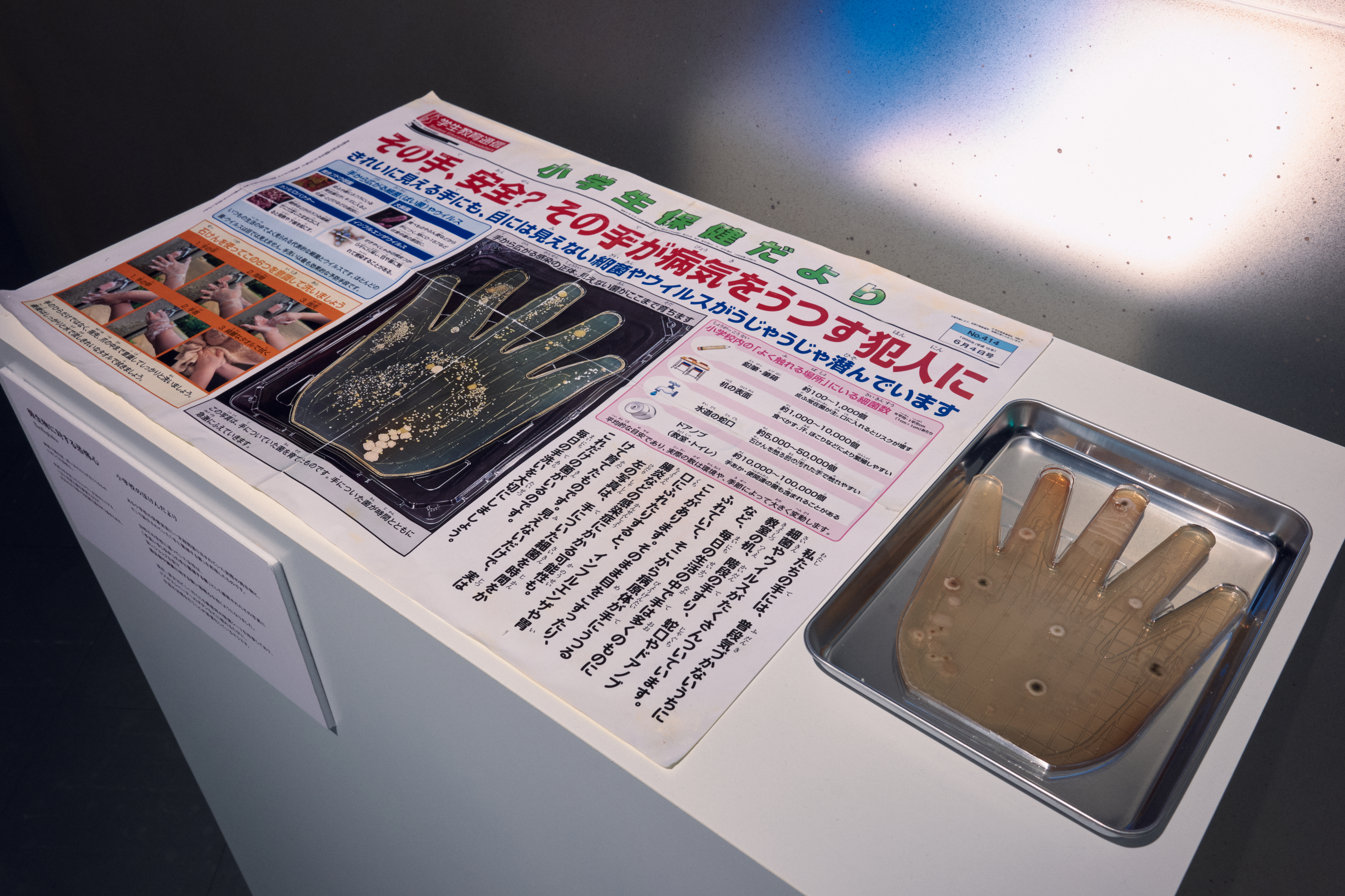 「恐怖心展」好評につき9月15日まで会期の延長が決定。人が“生理的な恐怖”を感じる物を展示する展覧会_005