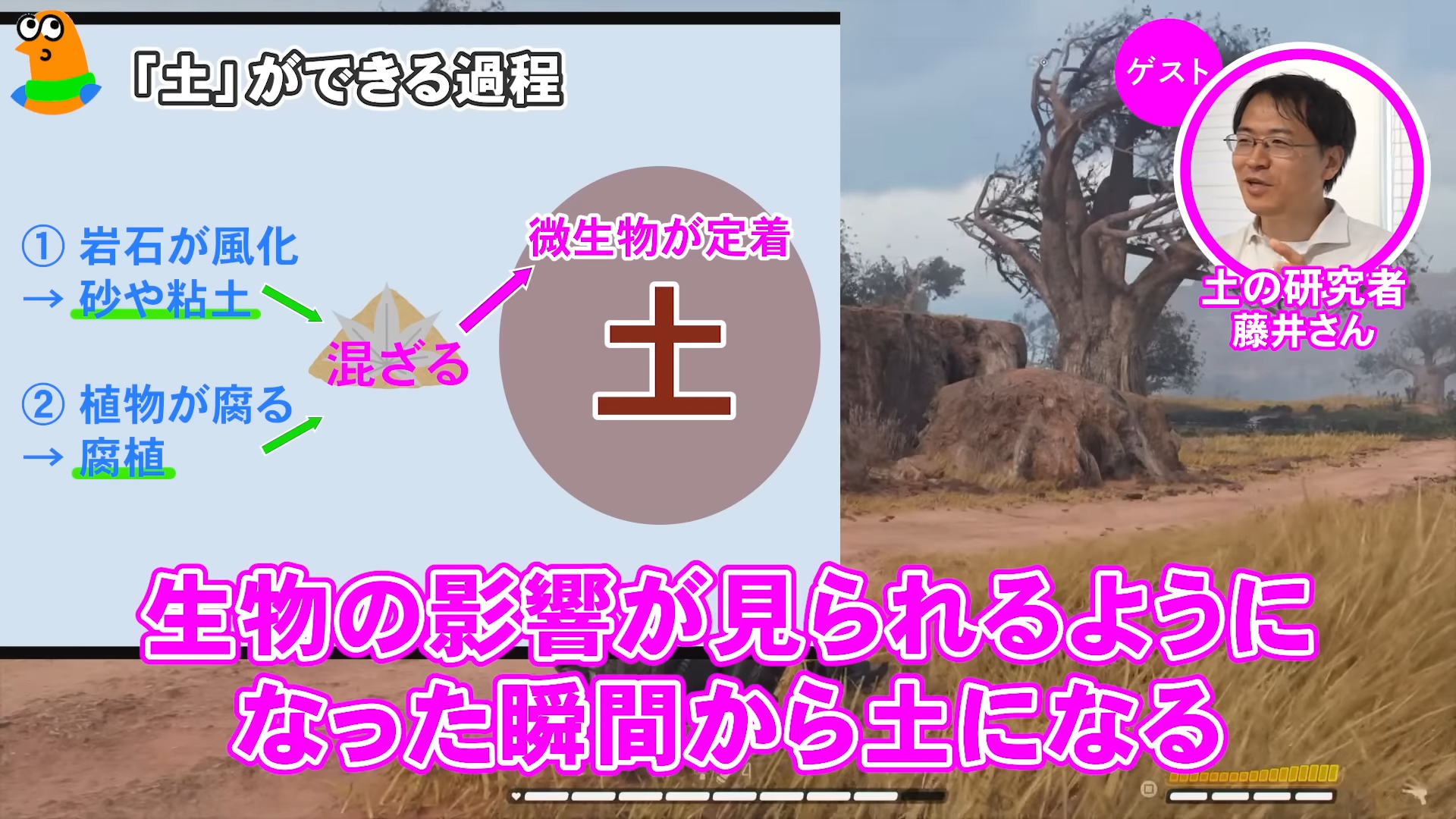 「ゲームさんぽ／よそ見」最新回が公開。『スター・ウォーズ 無法者たち』に登場する「土」を専門家と調査_007