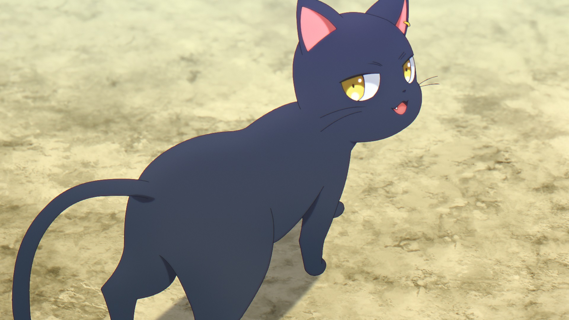 『黒猫と魔女の教室』2026年にアニメ化決定_004