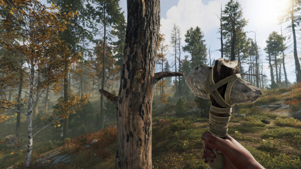 『Rust』Steam版が50％オフのセール実施中_003