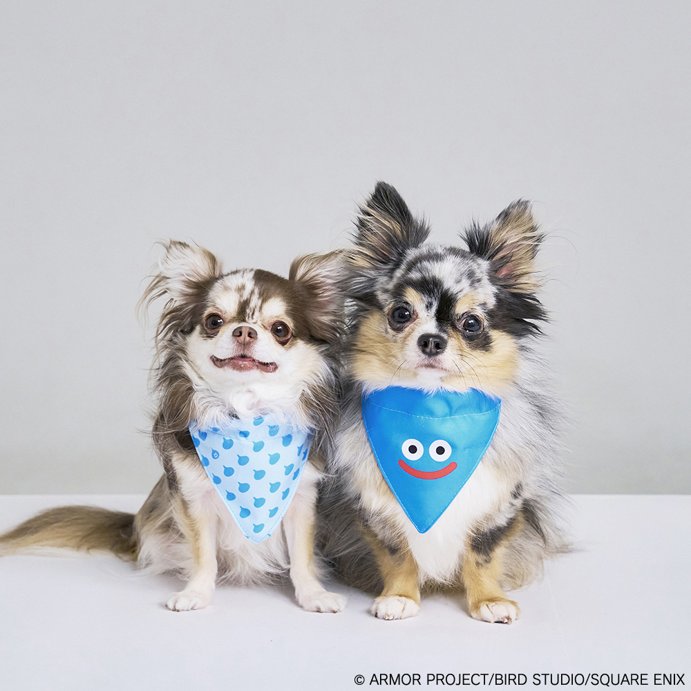 「SQEX PETs」から『ドラゴンクエスト』『ファイナルファンタジー』『キングダム ハーツ』のグッズが登場_003