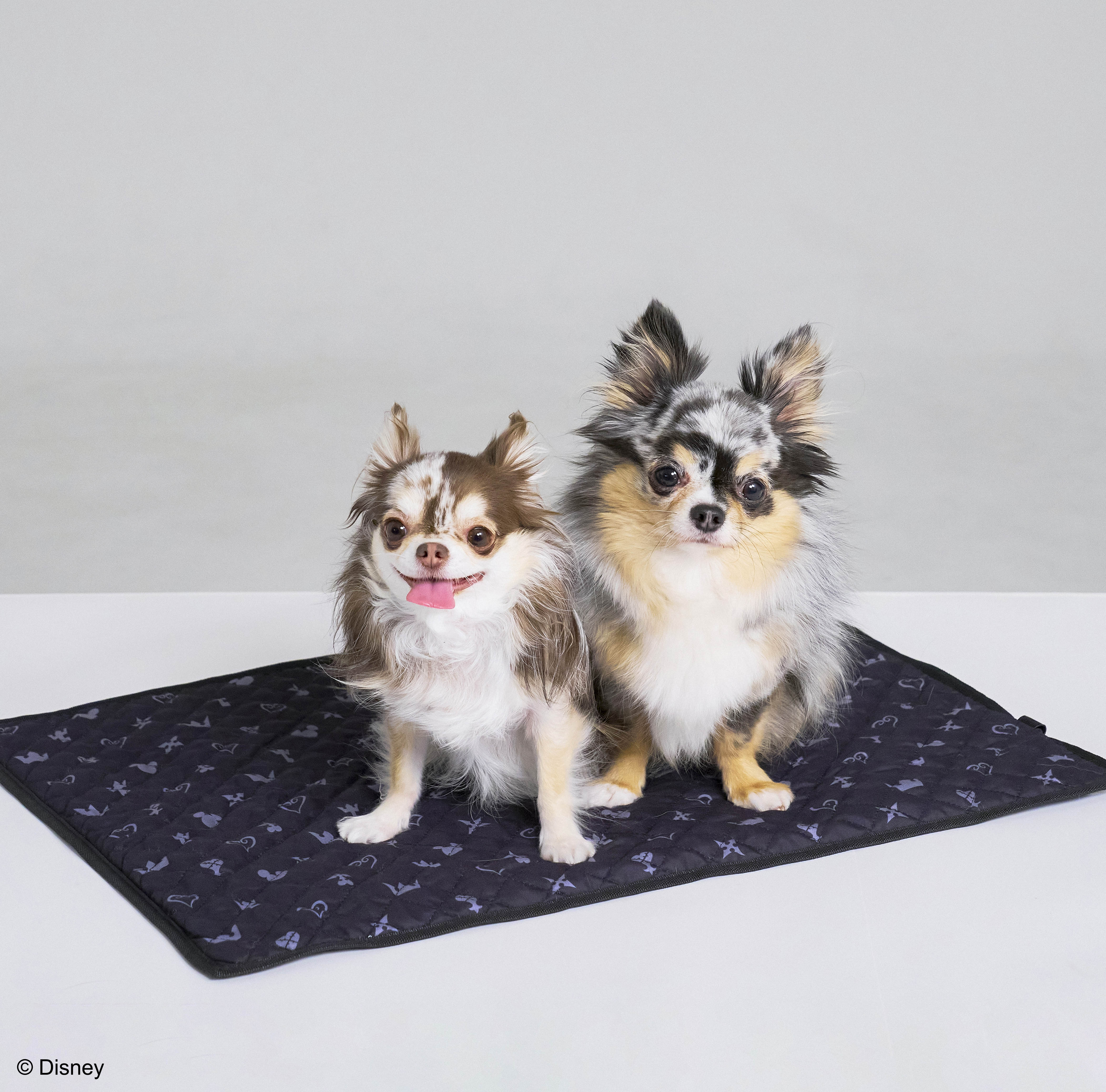 「SQEX PETs」から『ドラゴンクエスト』『ファイナルファンタジー』『キングダム ハーツ』のグッズが登場_013