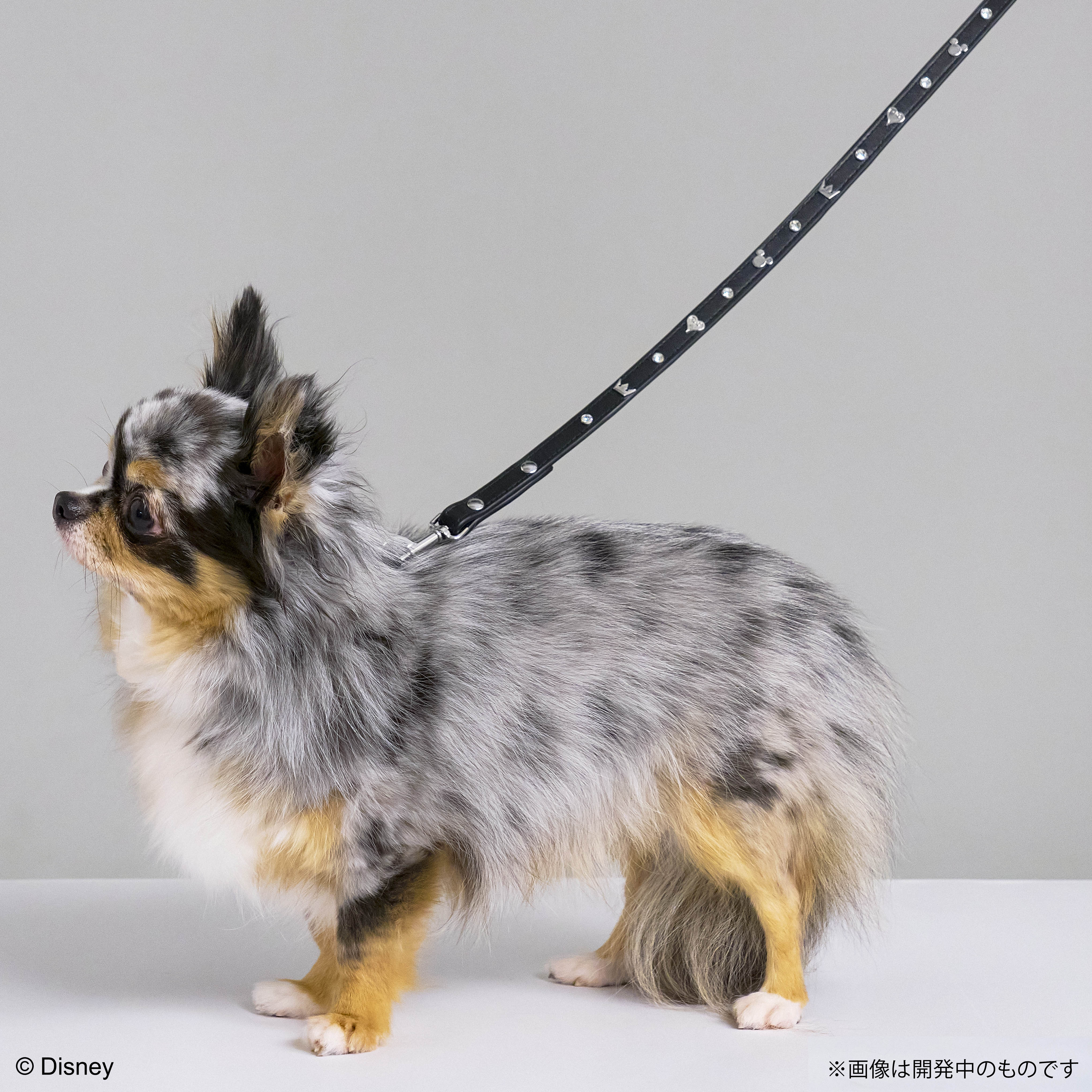 「SQEX PETs」から『ドラゴンクエスト』『ファイナルファンタジー』『キングダム ハーツ』のグッズが登場_015