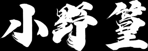 宮本武蔵が鬼の力を手に幻魔をぶった斬る剣戟アクション『鬼武者Way of the Sword』の最新映像が公開_015