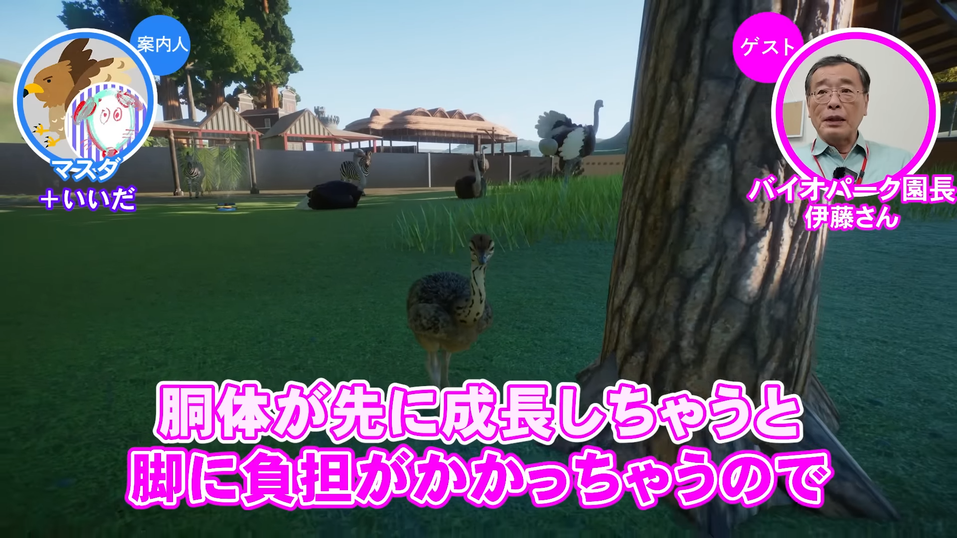 「ゲームさんぽ／よそ見」最新回が公開。『プラネットズー』を“動物園の園長”と見ていく動画_004