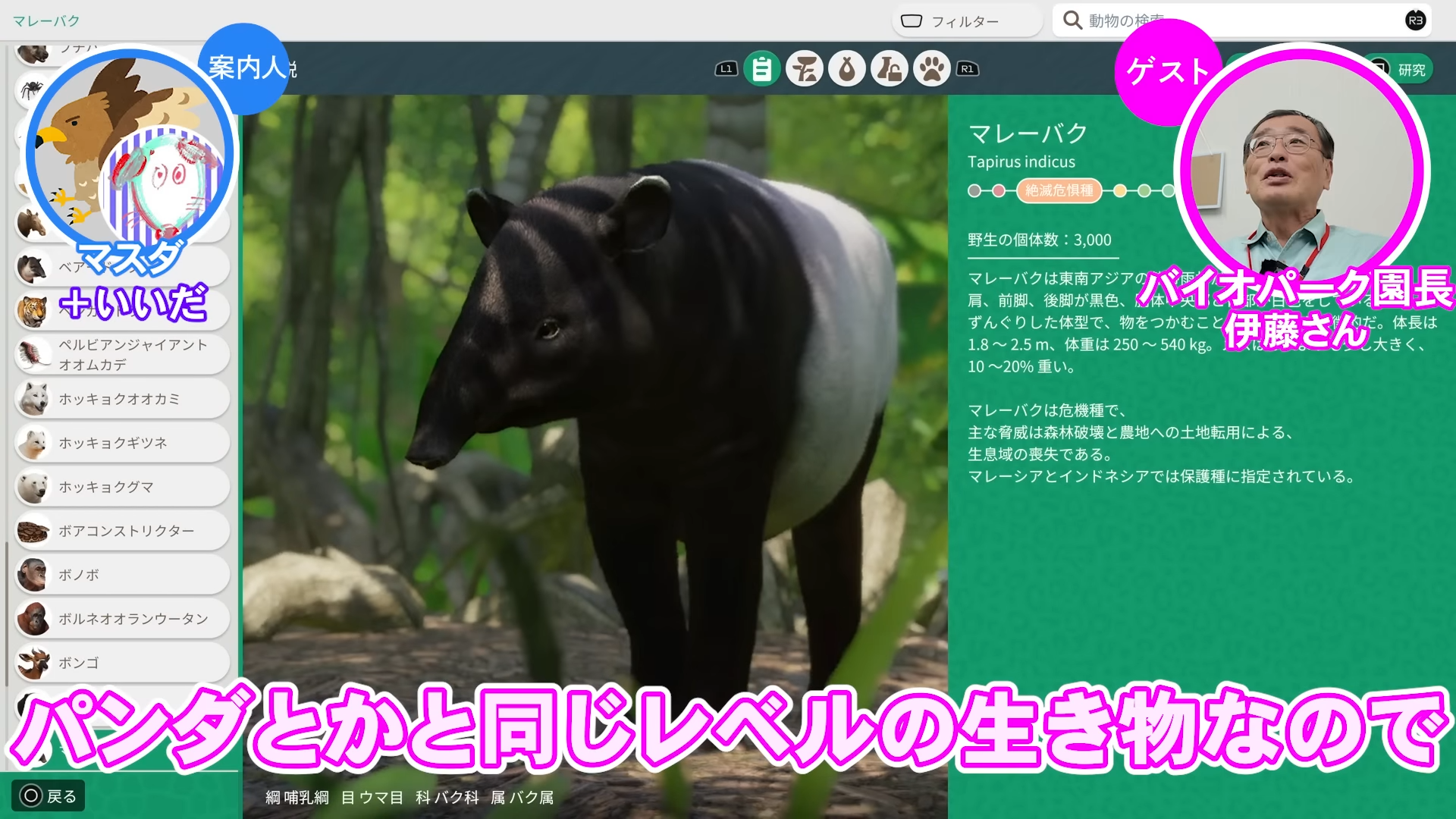 「ゲームさんぽ／よそ見」最新回が公開。『プラネット ズー』の「カバ」を“リアル動物園園長”と見る動画_002