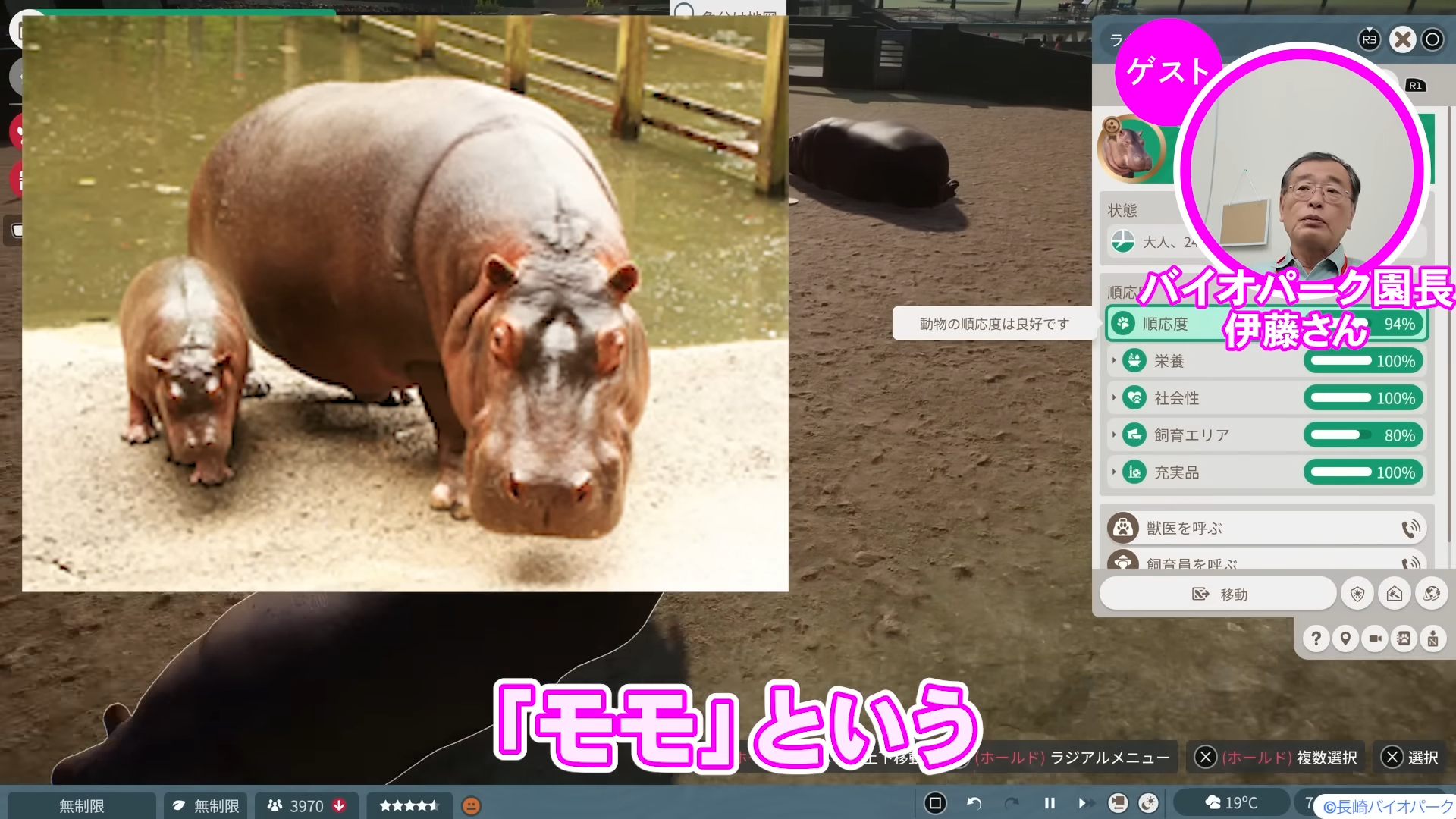 「ゲームさんぽ／よそ見」最新回が公開。『プラネット ズー』の「カバ」を“リアル動物園園長”と見る動画_008