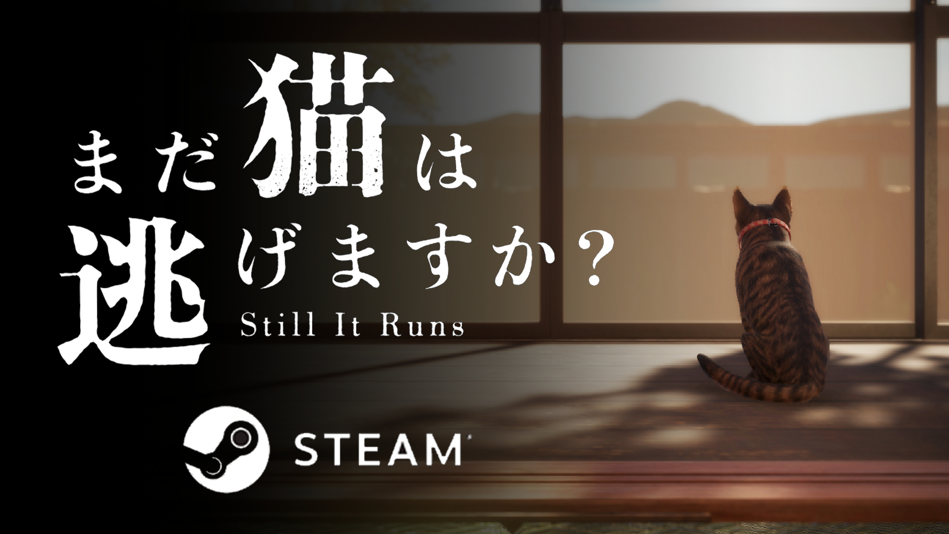 『まだ猫は逃げますか?』Steamにて本日リリース。『近畿地方のある場所について』背筋氏がシナリオを手がけるホラーゲーム_005