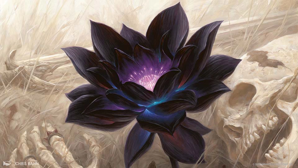 MTGアリーナ、「ブラック・ロータス」など“パワー9”を使用できるドラフトイベント「パワー・キューブ」を10月29日より開催_001