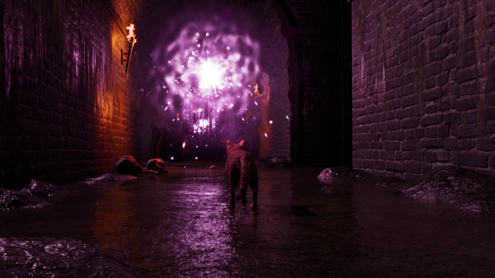 『Meowmories』Steamストアページが公開。1匹の猫が悪夢の世界を旅するホラーゲーム_002