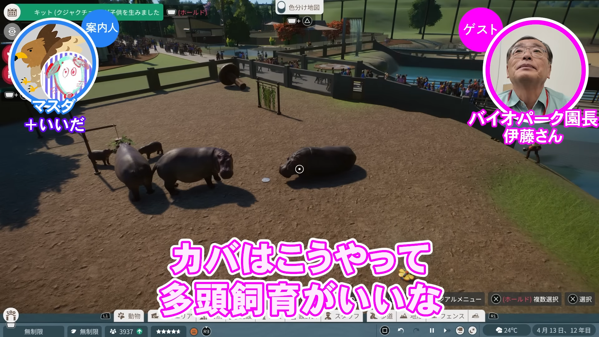 「ゲームさんぽ／よそ見」最新回が公開。『プラネット ズー』の「カバ」を“リアル動物園園長”と見る動画_005