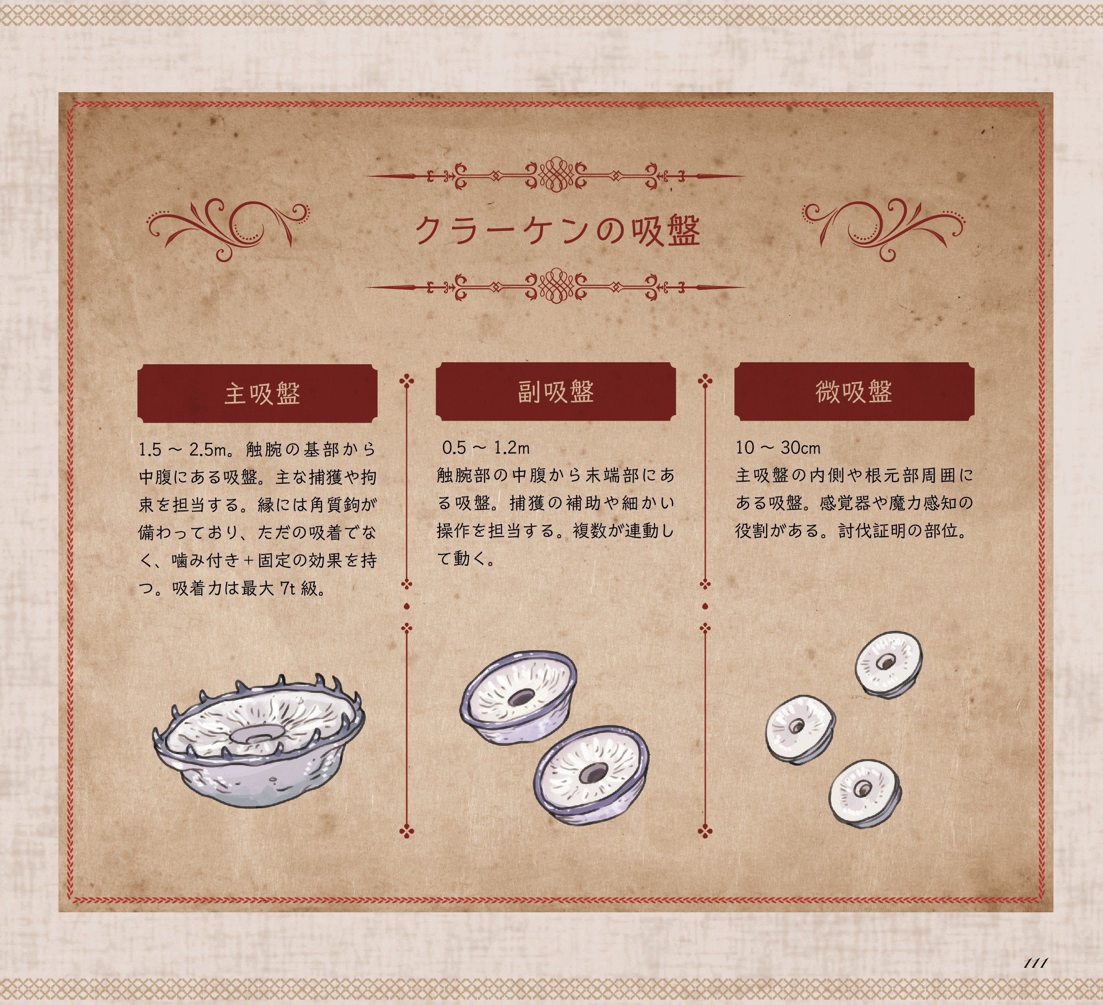 『モンスター解体図鑑』無料公開第10回「クラーケン」_005