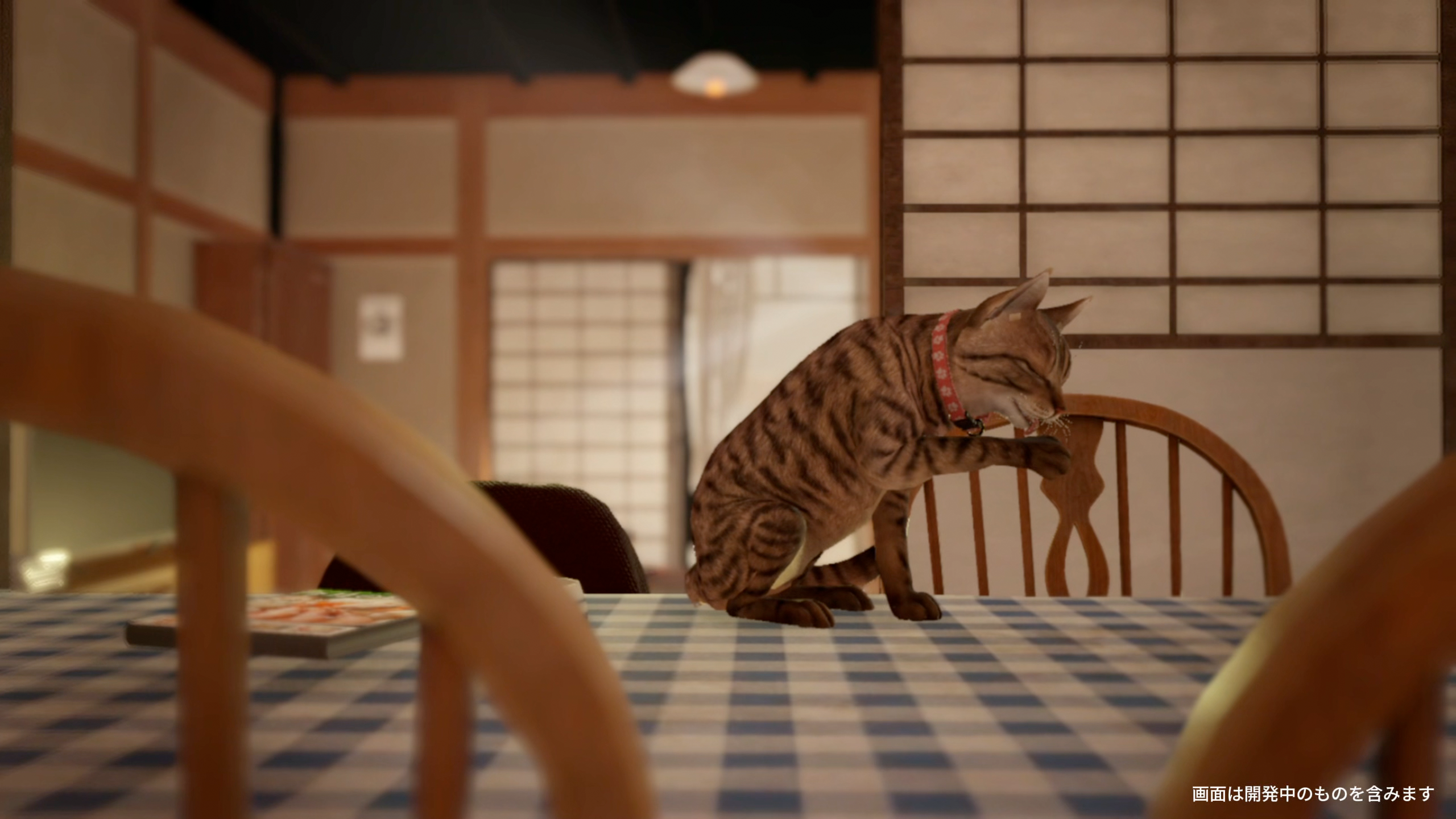 『まだ猫は逃げますか?』Steamにて本日リリース。『近畿地方のある場所について』背筋氏がシナリオを手がけるホラーゲーム_001