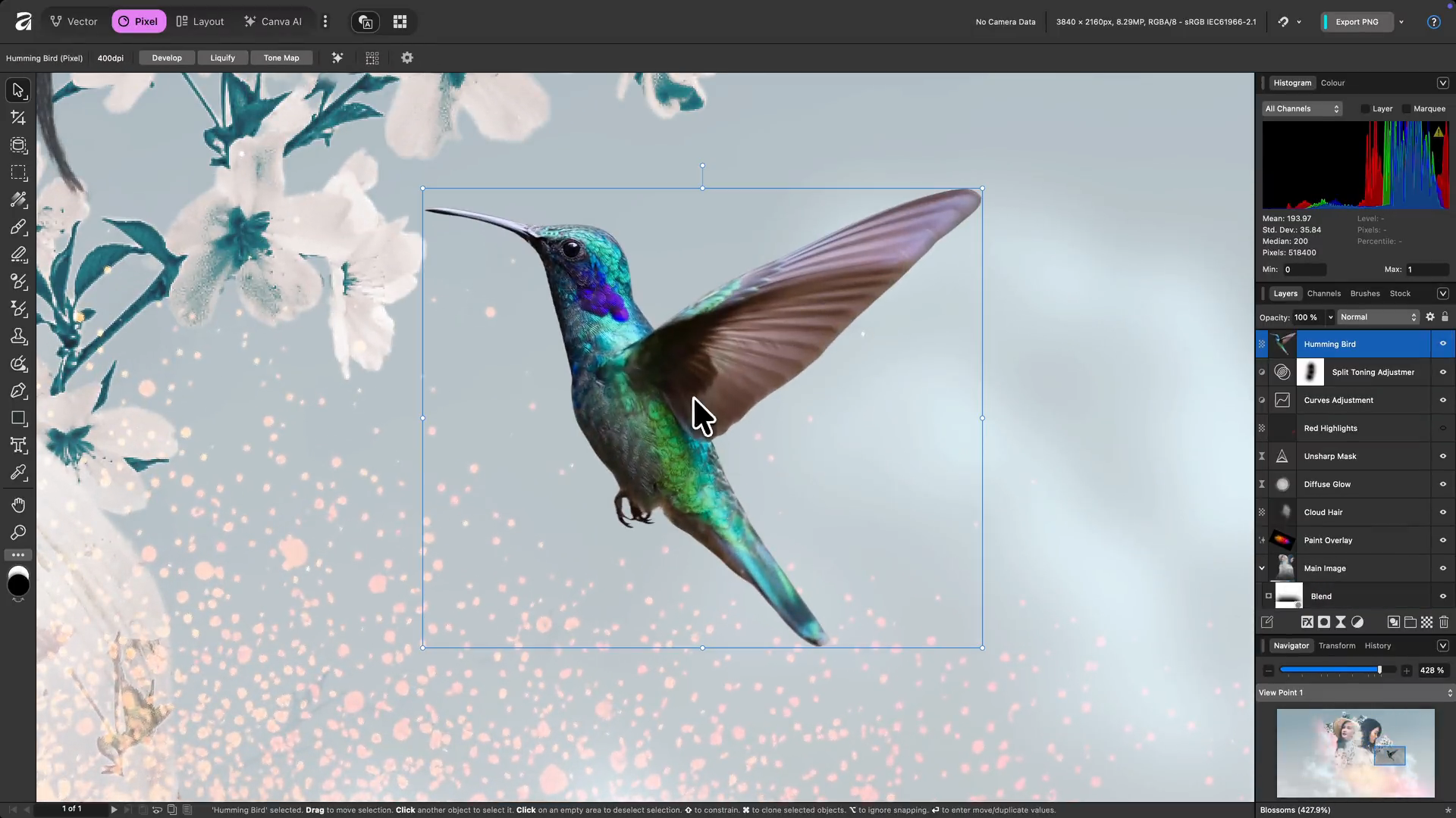 「Affinity Studio」が無料リリース
_002